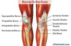 0304ed45e76787d5ef6d4f04c255580b--knee-pain-physical-therapy