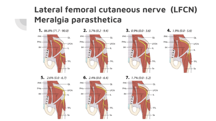 Ultrasound approach to low back and hip  nerves 2018.png
